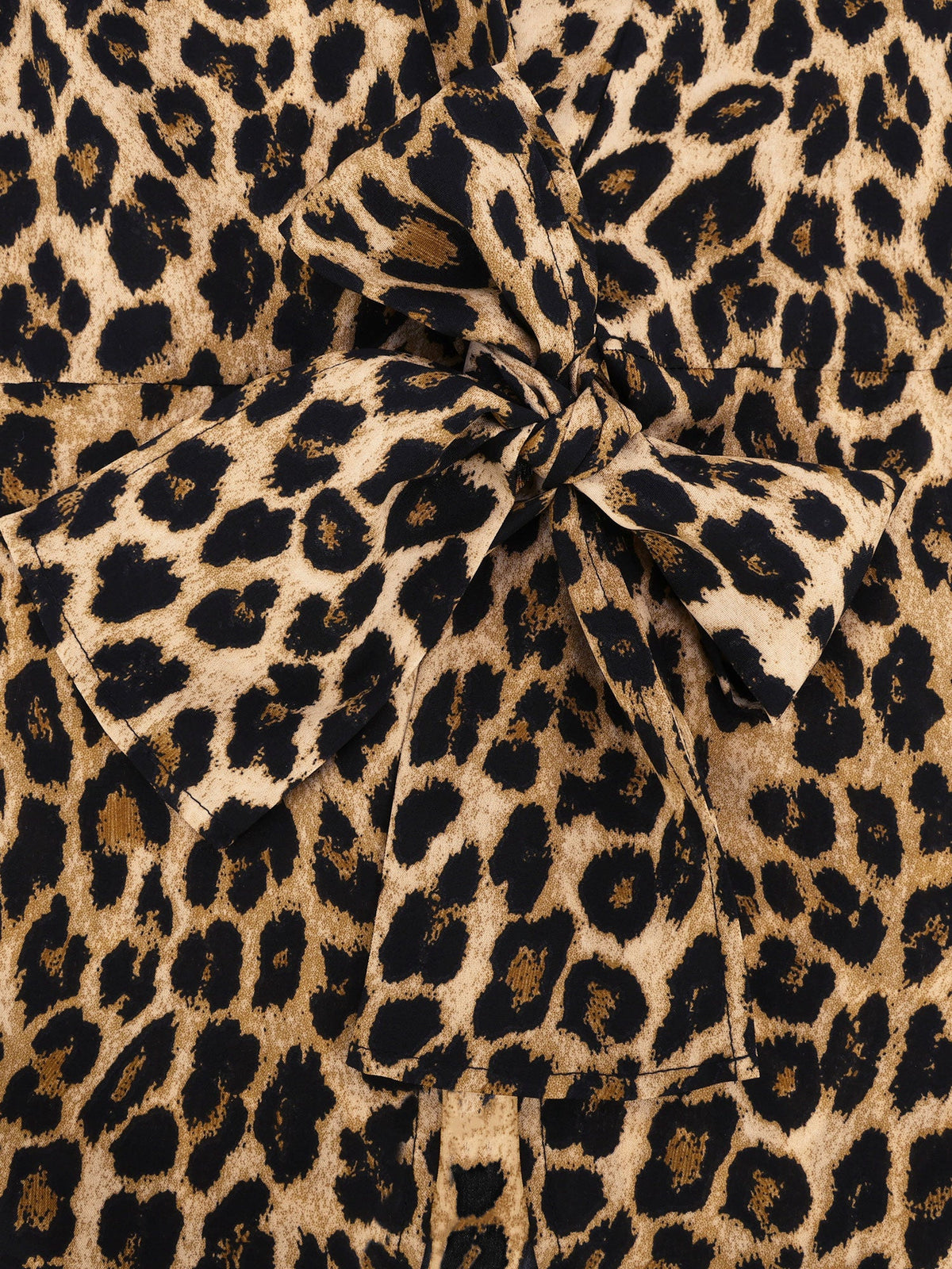 Women's Leopard Print Tie Waist Blouse